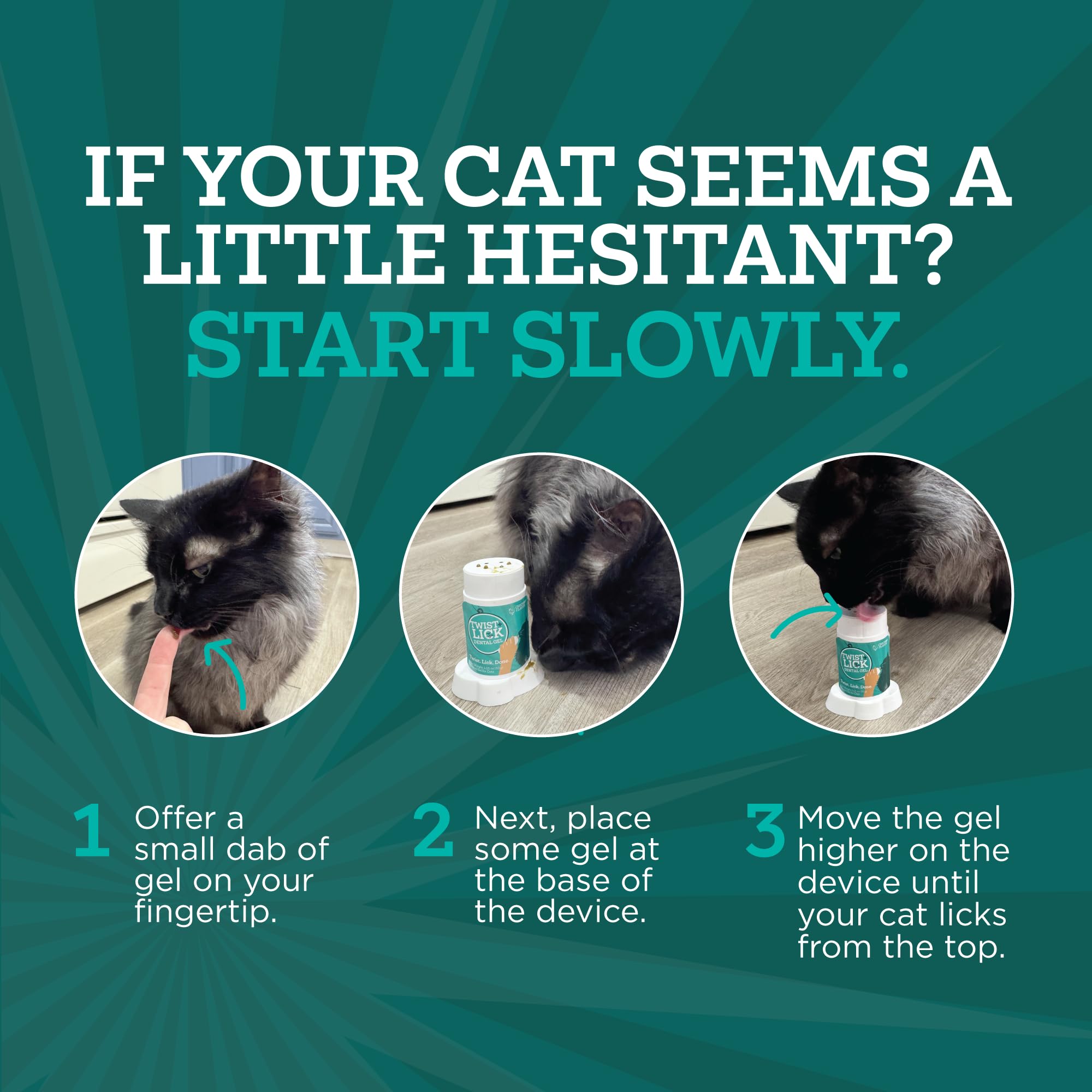 Chat qui lèche Vetality Twist + Lick montrant acceptation et confort