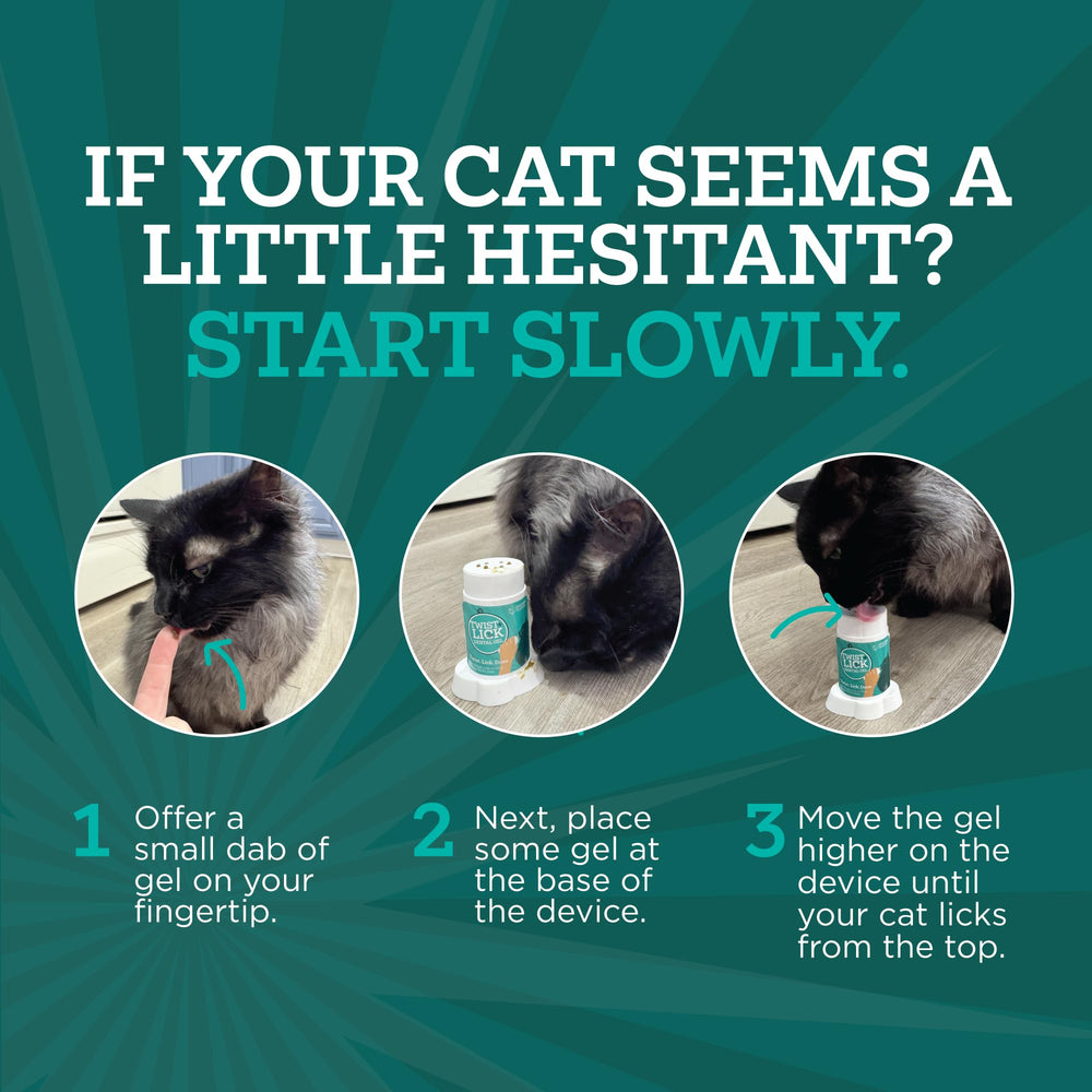 Chat qui lèche Vetality Twist + Lick montrant acceptation et confort