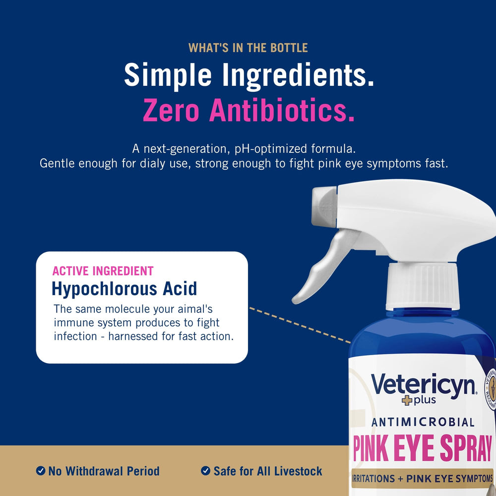 Vetericyn plus flacon posé à côté d’une main pour comparaison d’échelle pratique