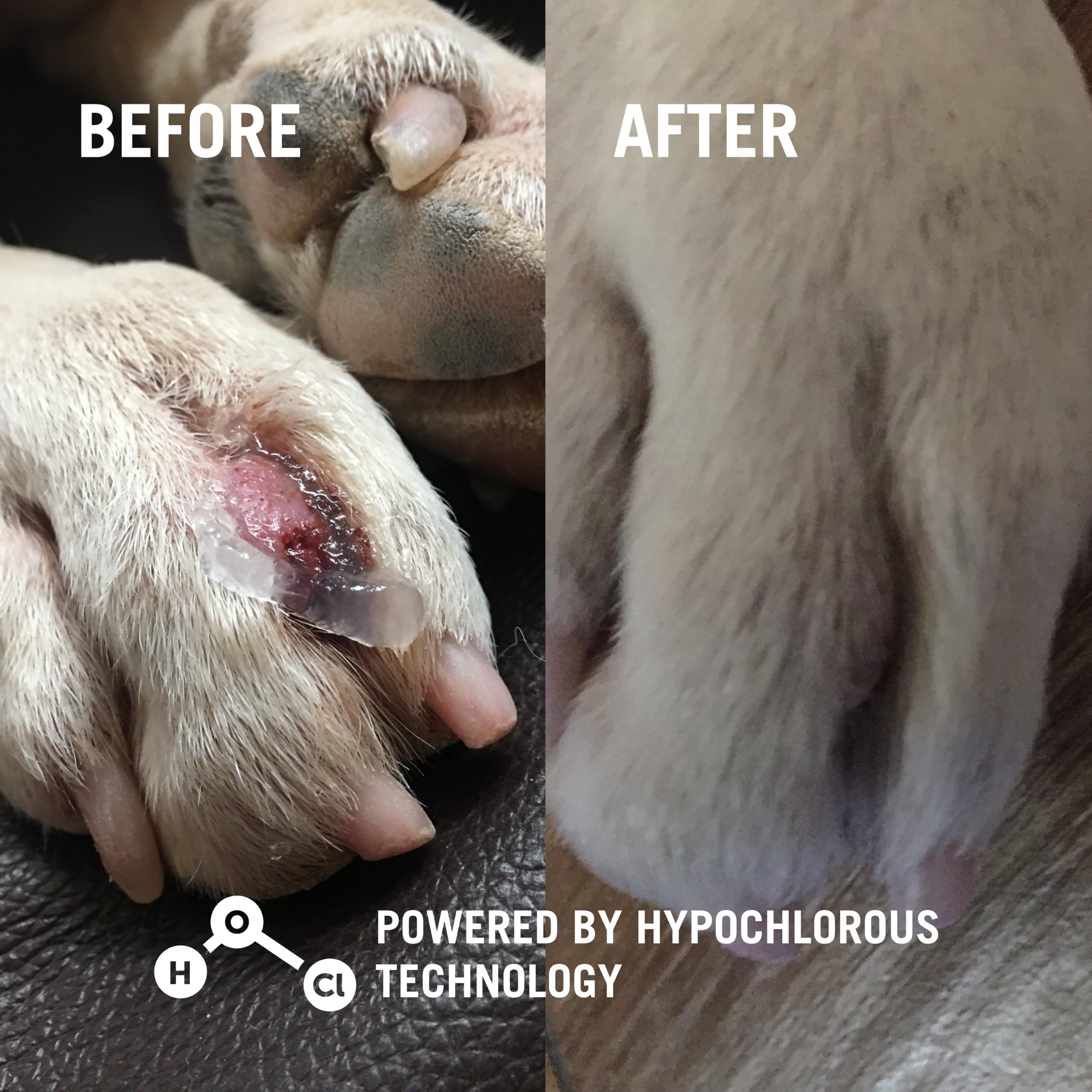 Vetericyn plus gros plan étiquette montrant ingrédients non toxiques et pH équilibré
