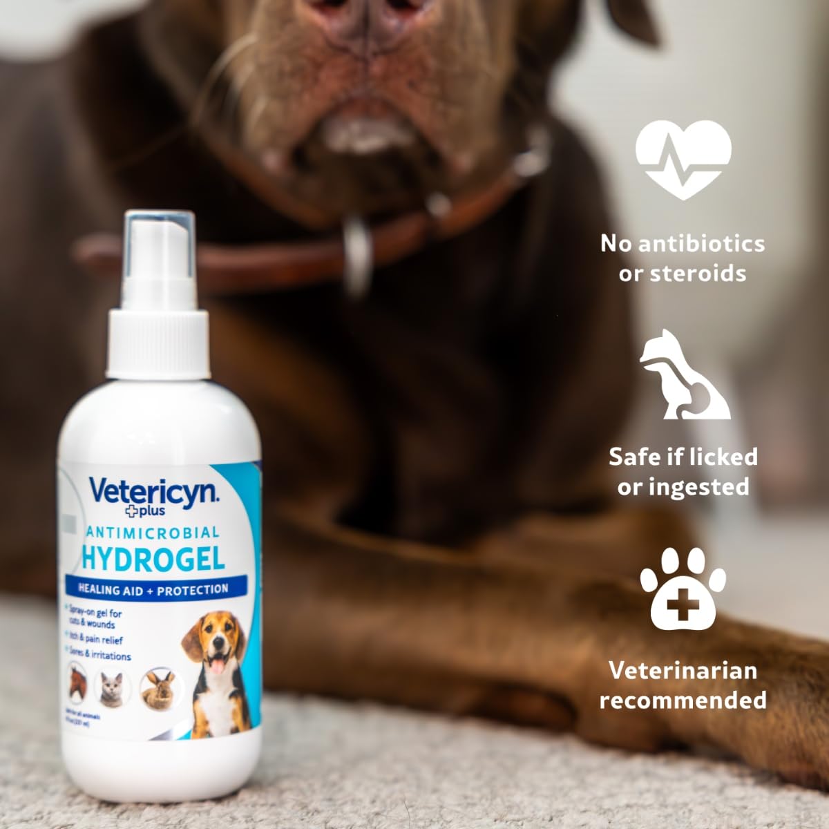 Vetericyn plus comparaison de taille dans une main pour visualiser le format 8 oz