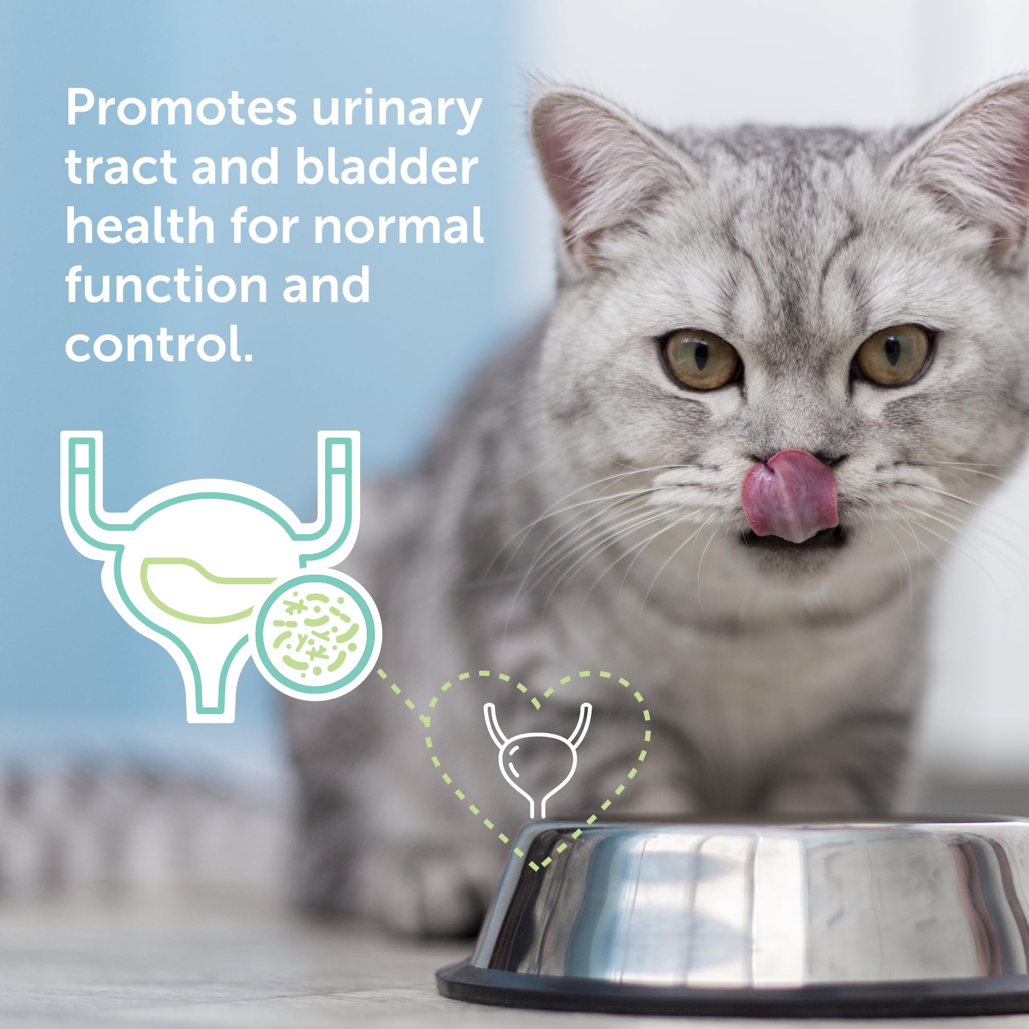 Veterinarian Recommended Solutions bocal Flo Cat Cranberry ouvert prêt à saupoudrer, administration facile