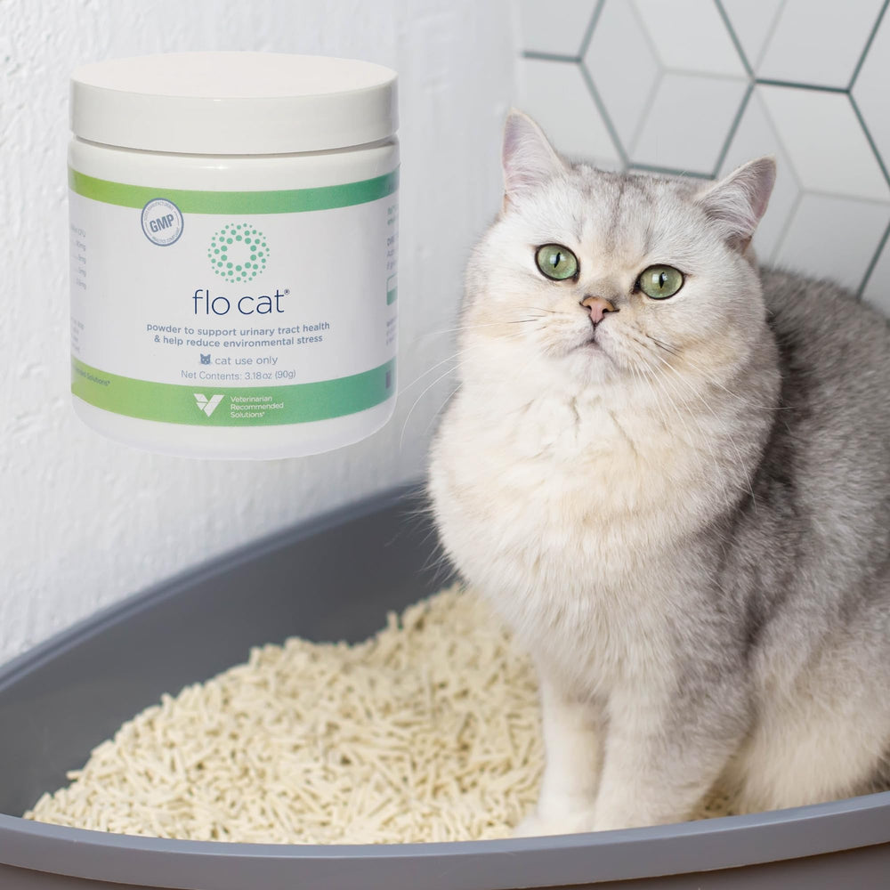 Veterinarian Recommended Solutions chat détendu après utilisation Flo Cat Cranberry illustrant bien-être comportemental