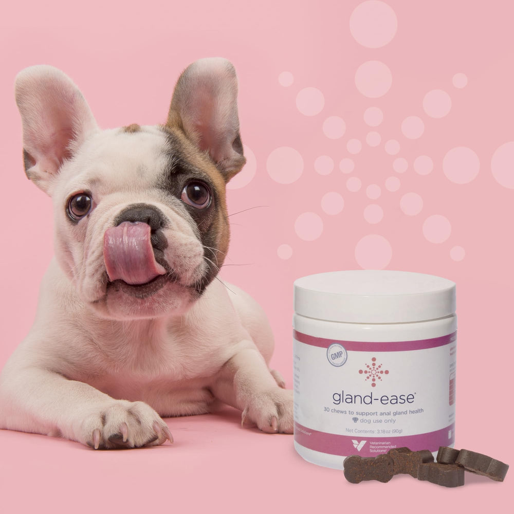 Veterinarian Recommended Solutions boîte ouverte Gland-Ease 30 chews bénéfice quantité mensuelle