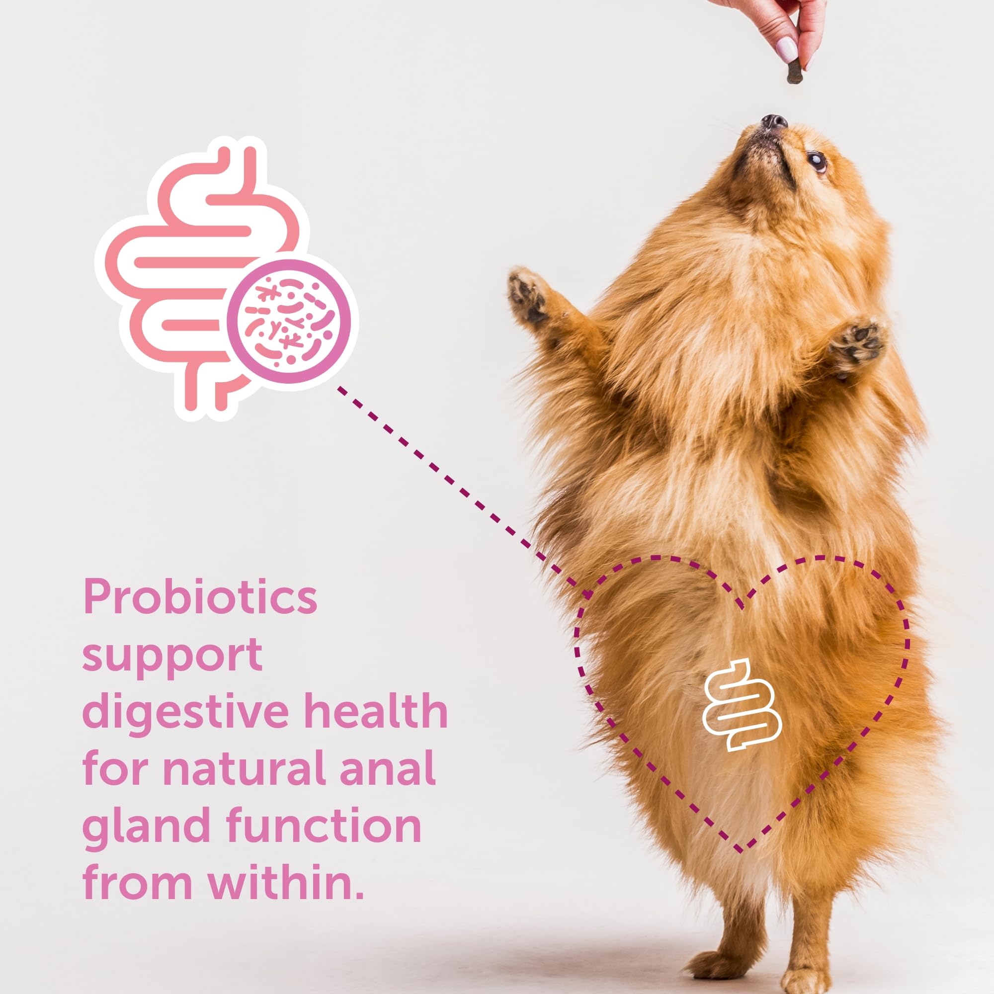 Veterinarian Recommended Solutions zoom sur texture de Gland-Ease bénéfice mâchabilité facile