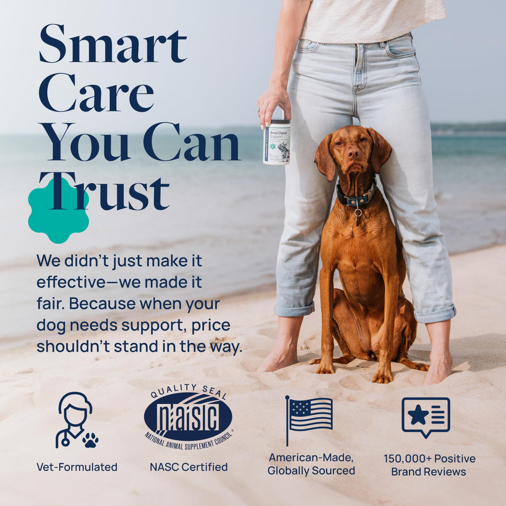 Veterinary Formula bol rempli de chews facilite prise quotidienne