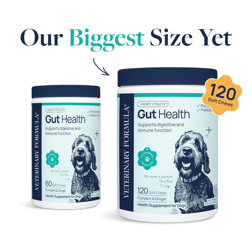 Veterinary Formula bouchée masticable gros plan, appétente pour l’acceptation facile