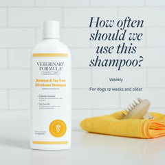 Veterinary Formula chien au bain démontrant application sécurisée et rinçage facile