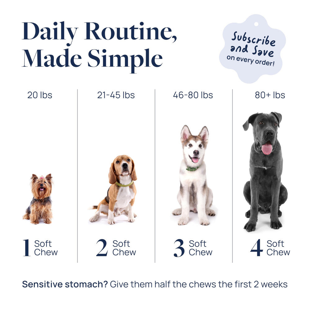 Veterinary Formula comparaison taille montrant proportion des chews pour évaluer dosage