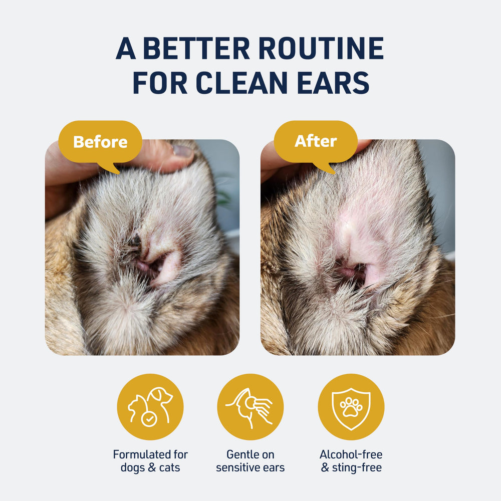 Veterinary Formula flacon ouvert illustrant l’application facile et précise