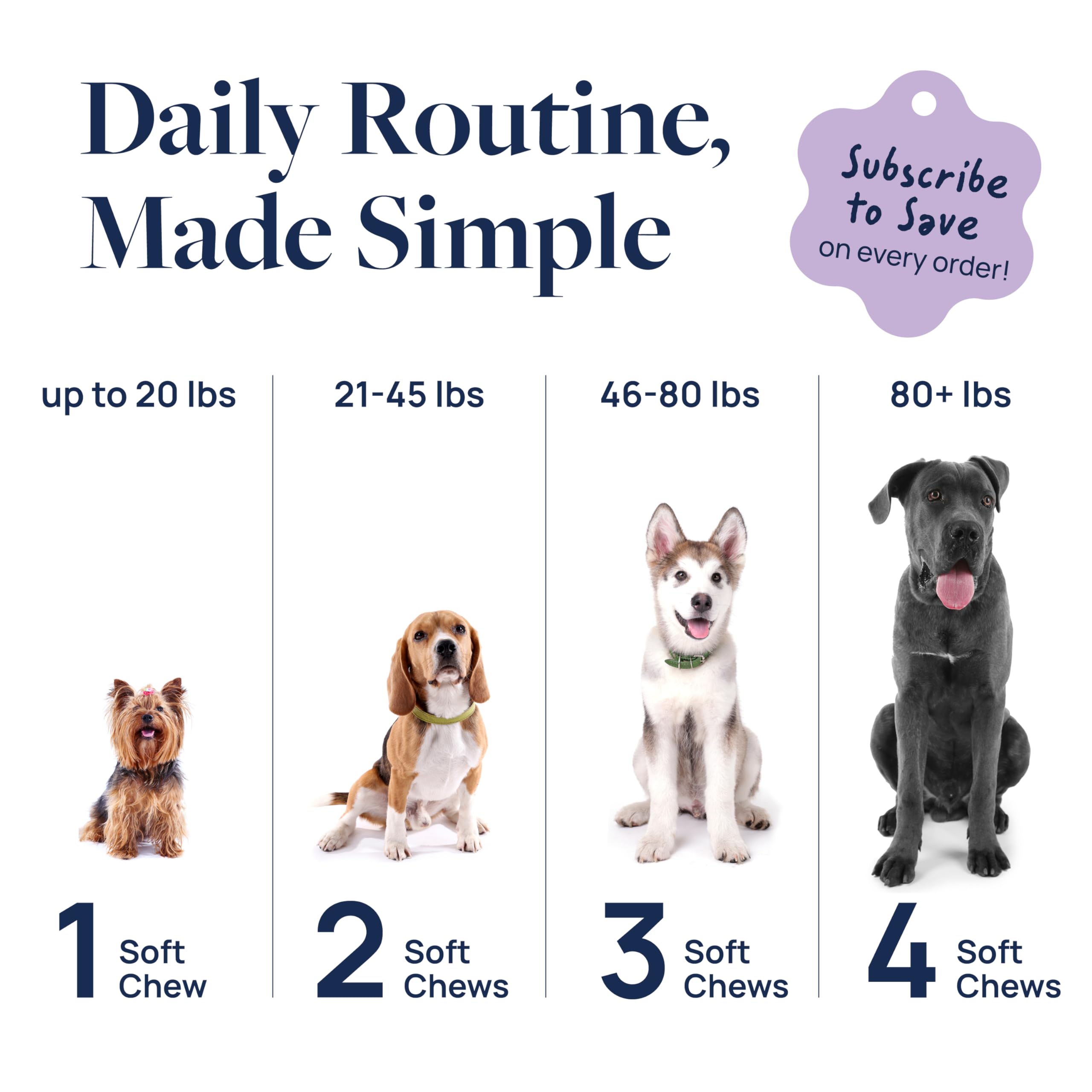 Veterinary Formula extrait Suntheanine illustré pour soutien comportemental