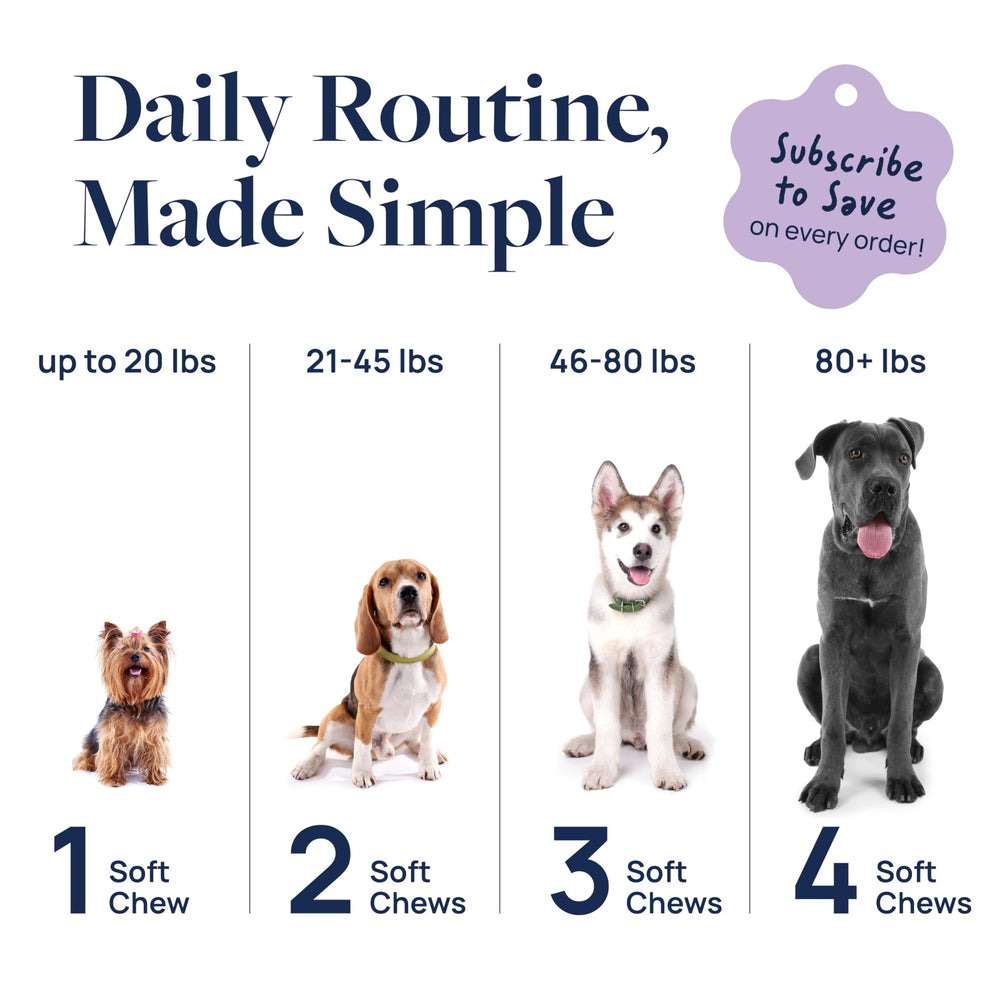 Veterinary Formula extrait Suntheanine illustré pour soutien comportemental