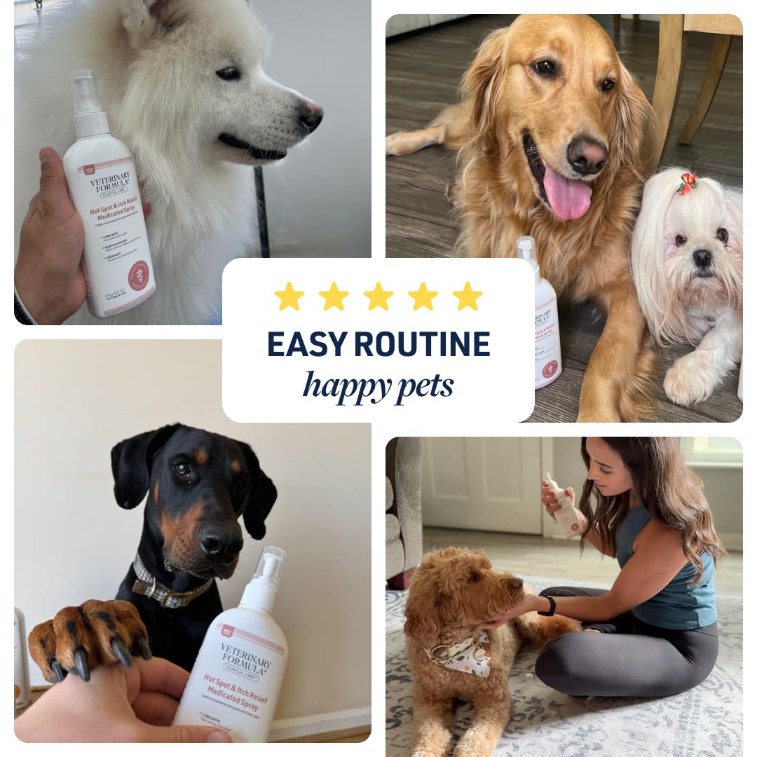 Veterinary Formula chien détendu après traitement illustrant confort retrouvé
