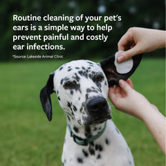 Veterinary Formula appliqué sur un chiot pour un nettoyage auriculaire sécurisant