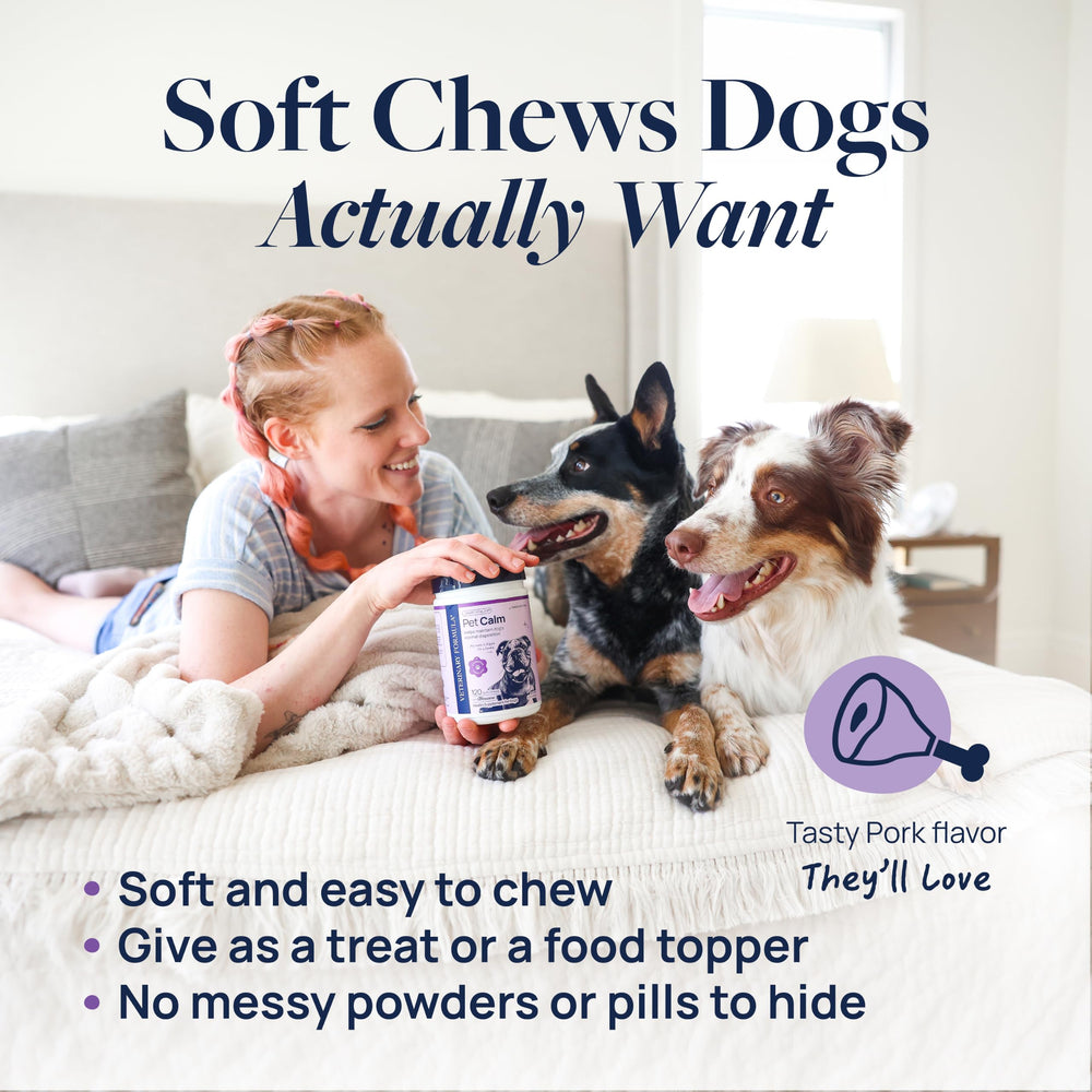 Veterinary Formula chew donné avant déplacement pour calmer en voiture