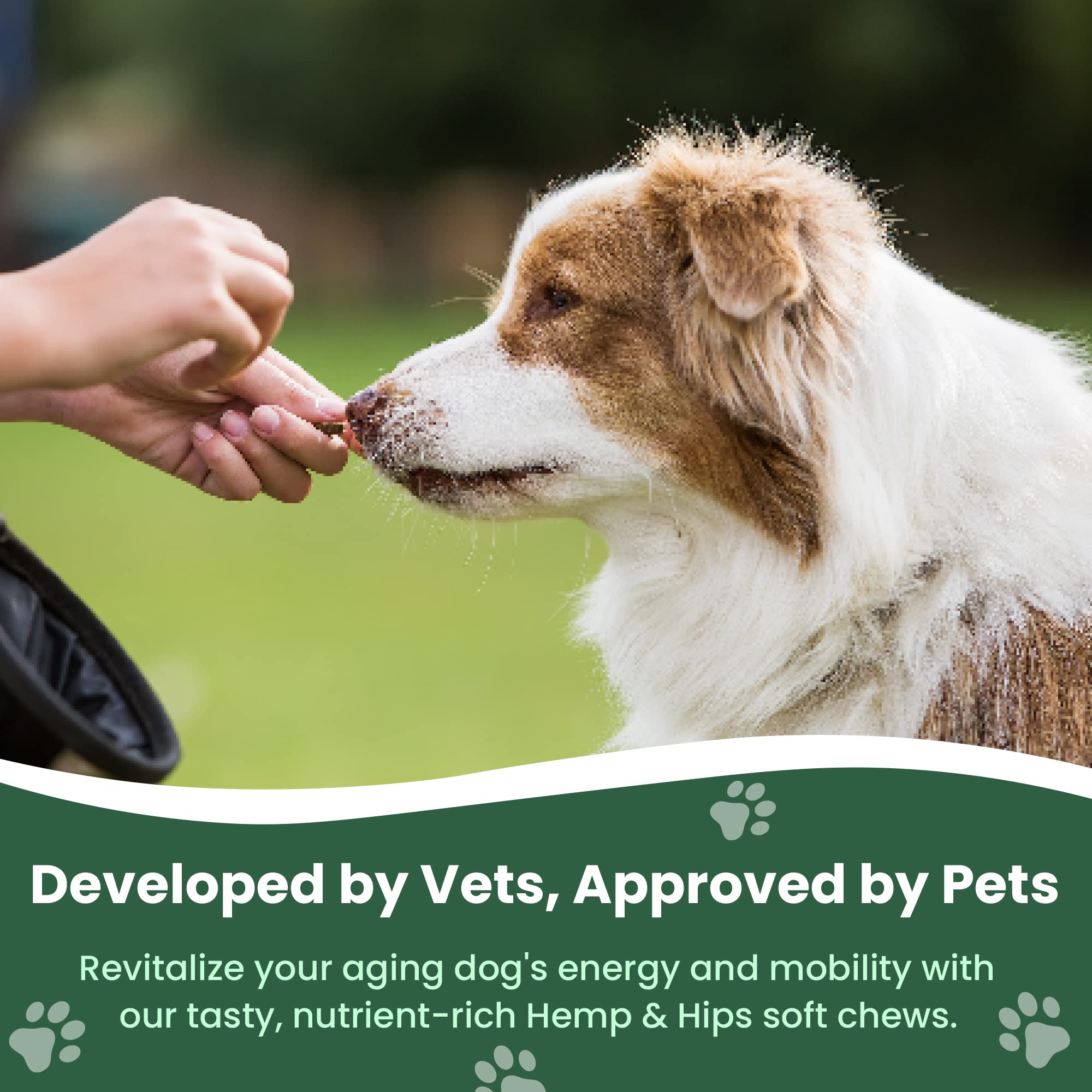 Gros plan sur la texture des chews Veterinary Naturals, facile à mâcher pour seniors