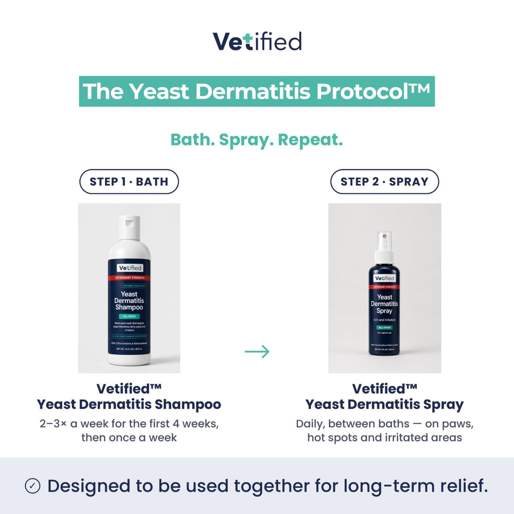 VETIFIED shampooing appliqué sur chien illustre utilisation pour pattes et corps