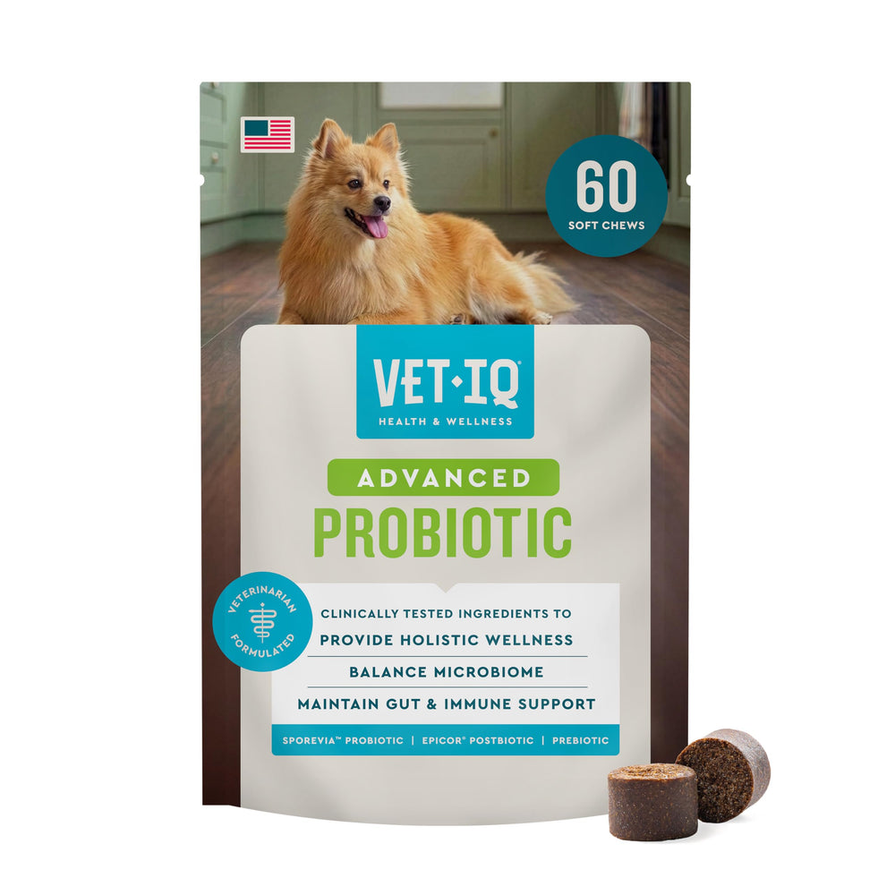 VetIQ emballage avant 60 ct montrant la formule digestive et bénéfices