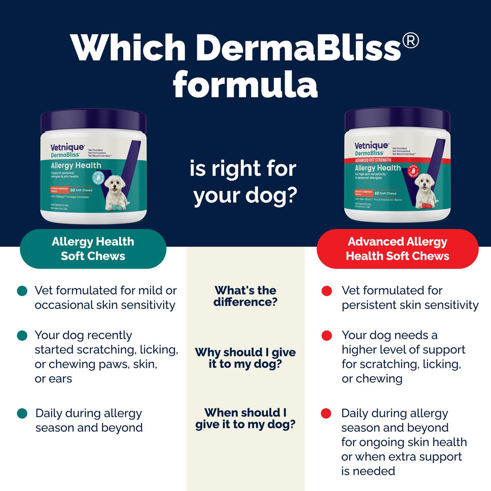 Comparaison taille d’un chew Vetnique Dermabliss avec une pièce pour échelle