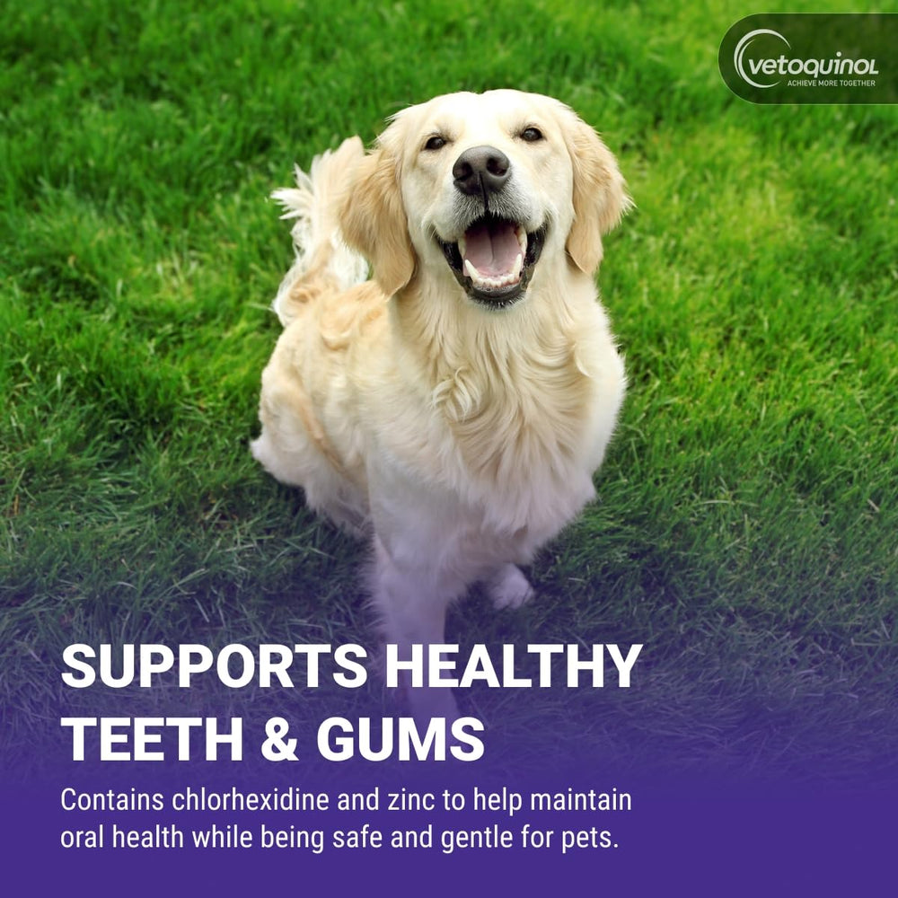 Chien acceptant Vetoquinol Dentahex en démonstration d'utilisation simple à la maison