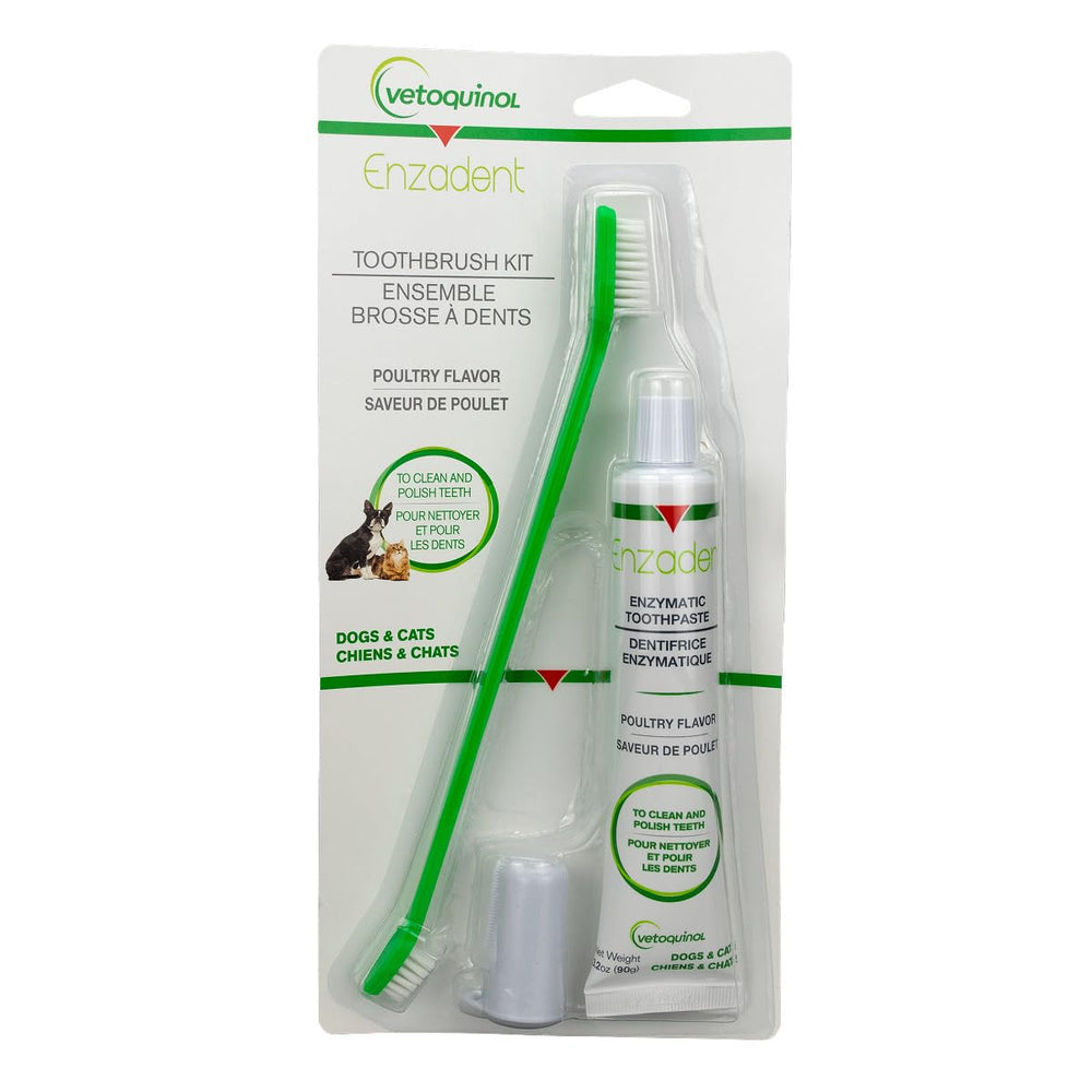 Vetoquinol Enzadent emballage avant montrant le kit et clarté produit