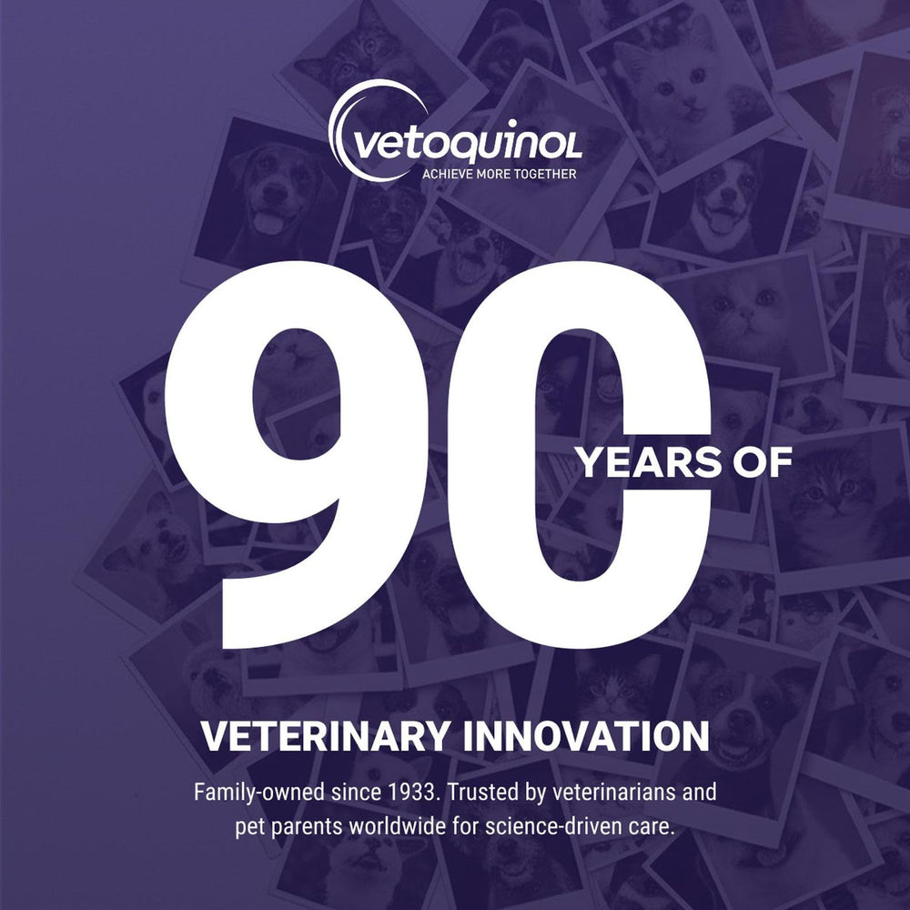 Vetoquinol Flexadin Plus chien recevant une friandise pour démontrer acceptation et routine