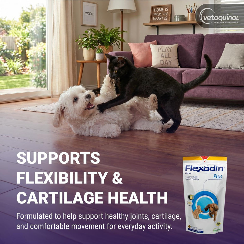 Vetoquinol Flexadin Plus texture des friandises soulignant fraîcheur et mâchabilité