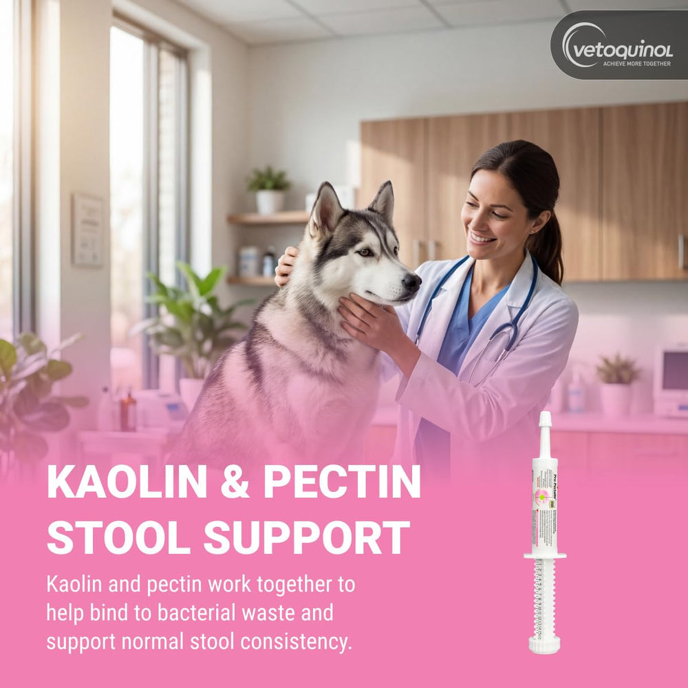 Vetoquinol Pro-Pectalin texture de la pâte montrant consistance appétente