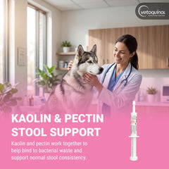 Vetoquinol Pro-Pectalin texture de la pâte montrant consistance appétente