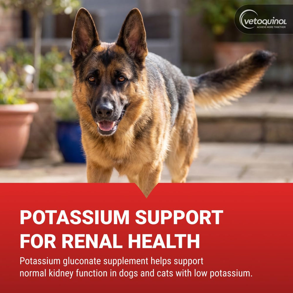 Vetoquinol Renal K poudre gros plan texture fine bénéfice absorption