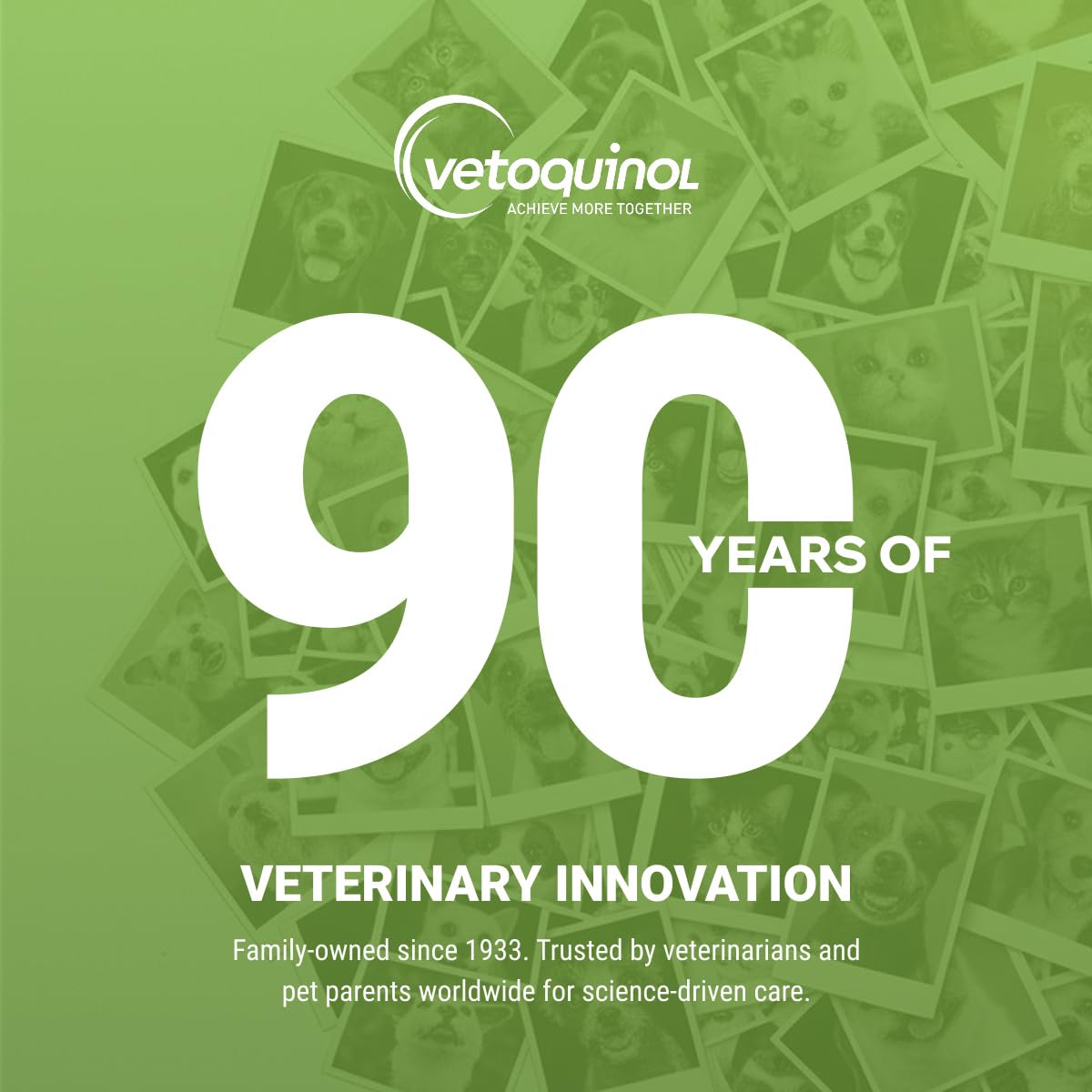 Vetoquinol solution sur compresse montrant texture fluide et efficacité nettoyage