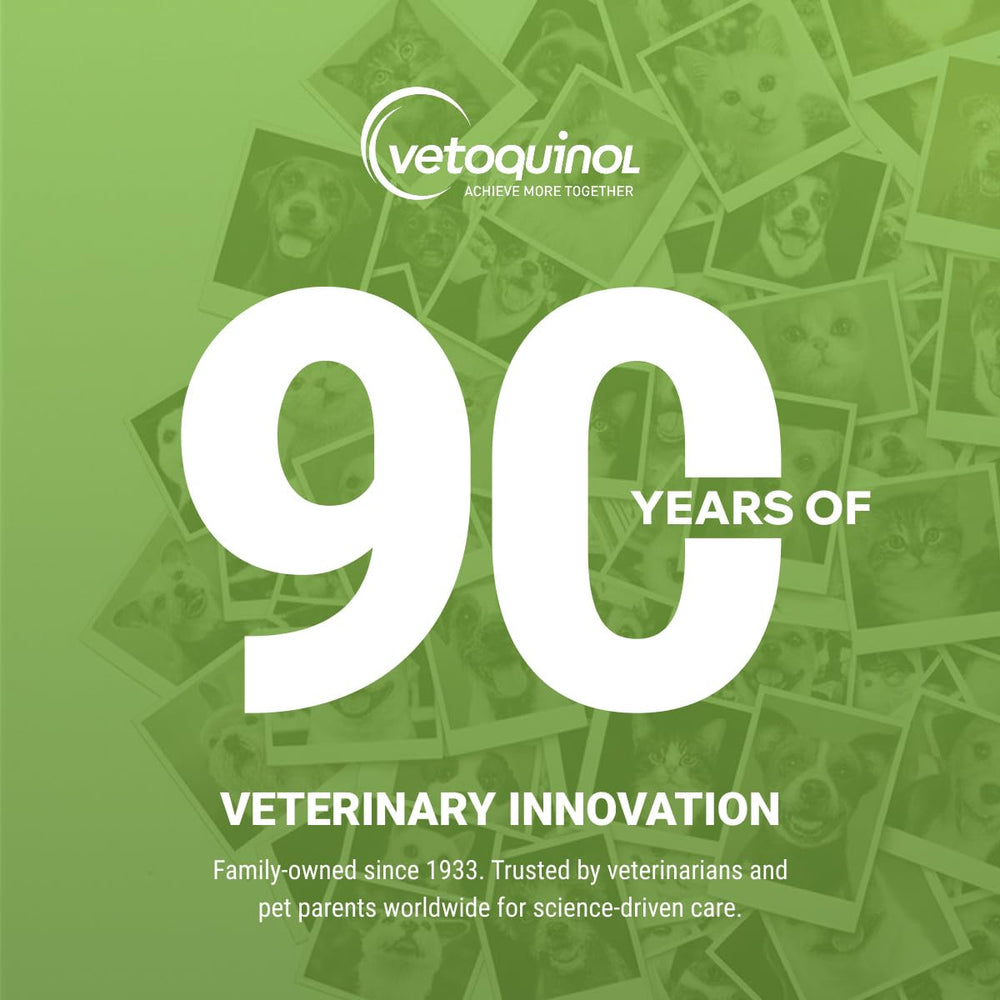 Vetoquinol solution sur compresse montrant texture fluide et efficacité nettoyage
