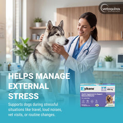 Vetoquinol poudre de capsule saupoudrée pour administration simple