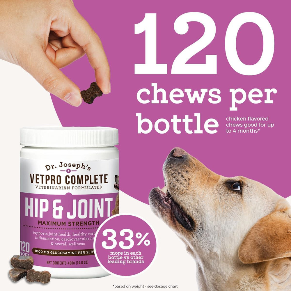 VetPro Complete chien recevant comprimé pour démontrer facilité d'utilisation