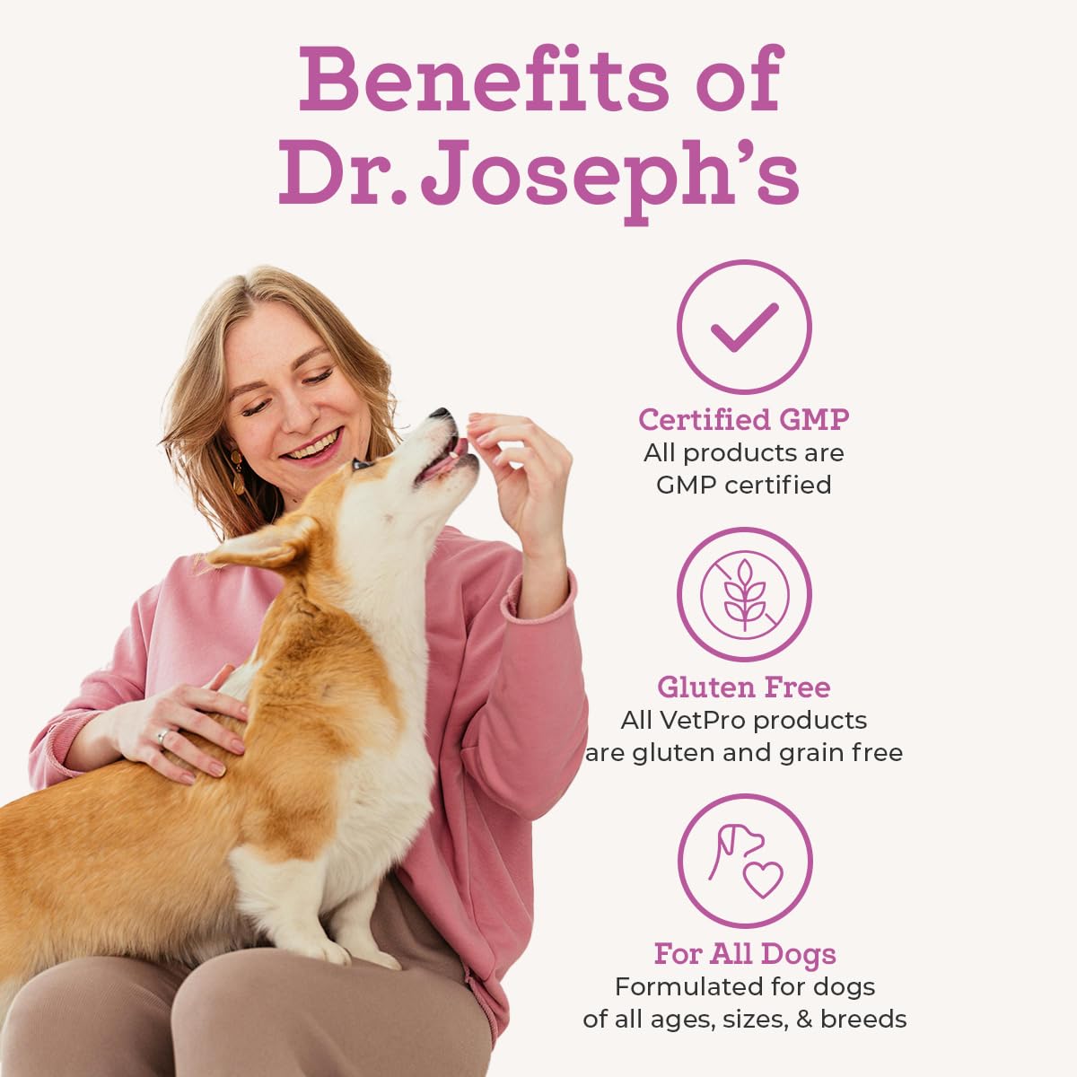 VetPro Complete mise en scène domestique illustrant bien-être et activité du chien