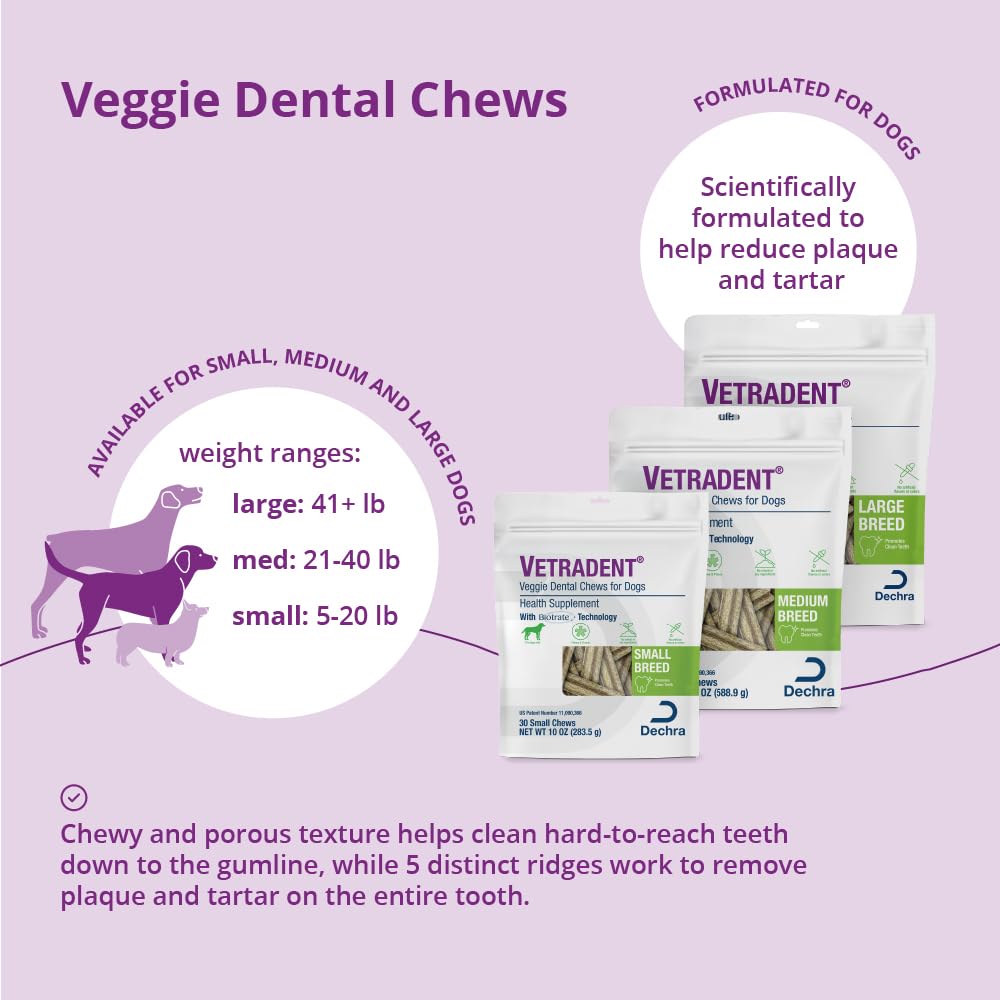 Vetradent texture poreuse visible pour un nettoyage mécanique des dents