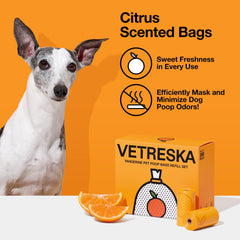 VETRESKA sac tenu à la main pendant une promenade, hygiène et confort