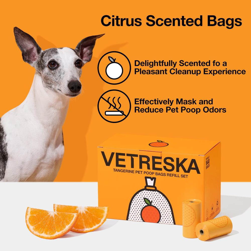VETRESKA motif mandarine en gros plan, design parfumé
