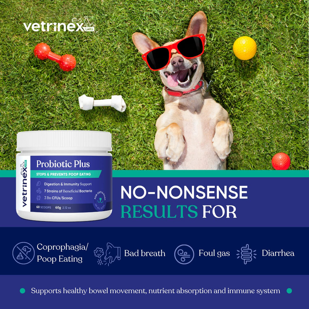Vetrinex Labs cuillère doseuse incluse pour un dosage précis et pratique
