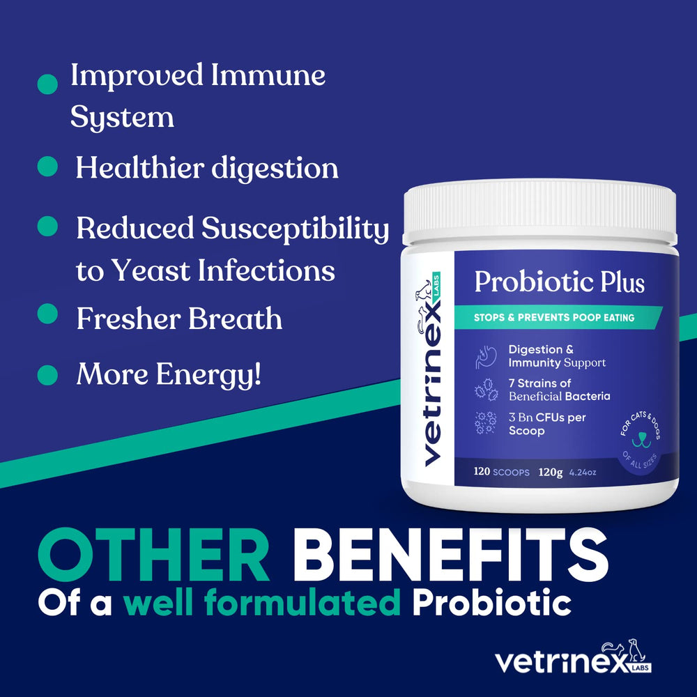 Vetrinex Labs étiquette lisible détaillant souches probiotiques et enzymes