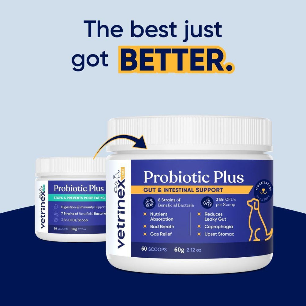 Vetrinex Labs poudre gros plan prouvant texture sans odeur et facile à saupoudrer