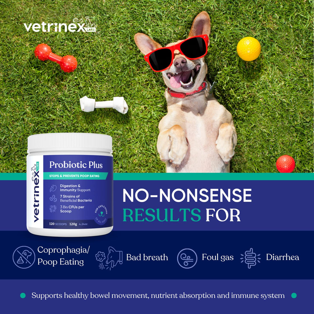 Vetrinex Labs gros plan poudre montrant texture fine et facilité mélange