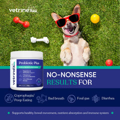 Vetrinex Labs gros plan poudre montrant texture fine et facilité mélange