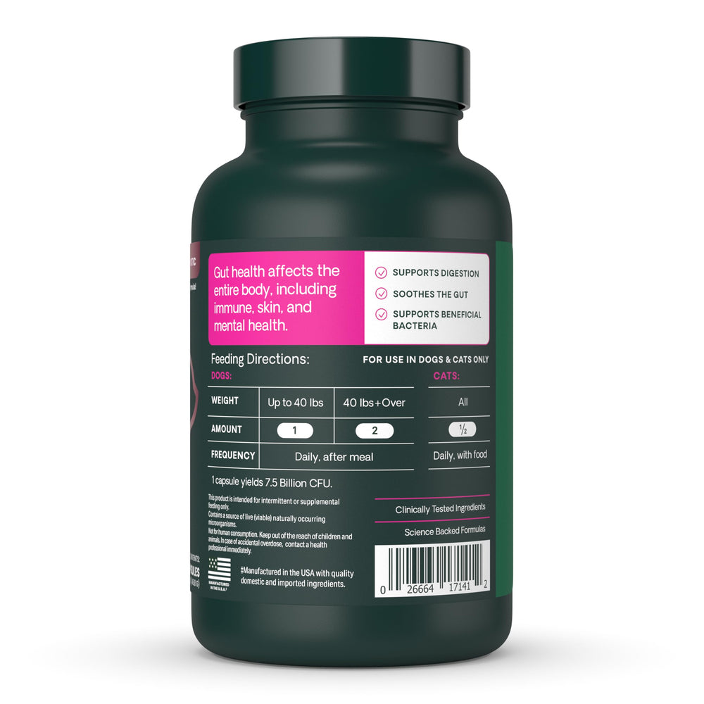 VETRISCIENCE chien mangeant aliment avec supplément saupoudré, bénéfice appétence préservée