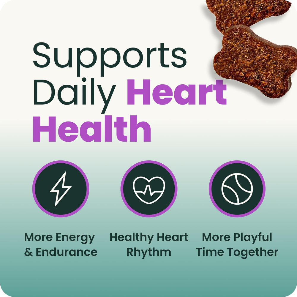 VETRISCIENCE bouchée tenue en main pour démontrer la facilité d'administration