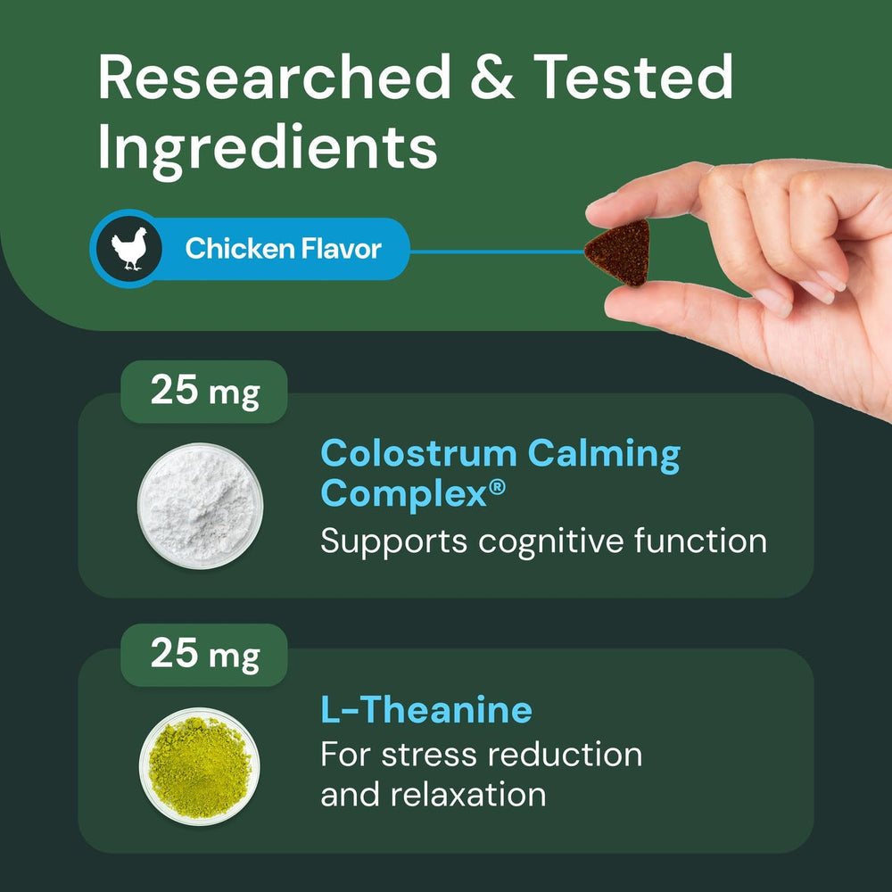 VetriScience chien mange une chew, aide au calme pendant stress