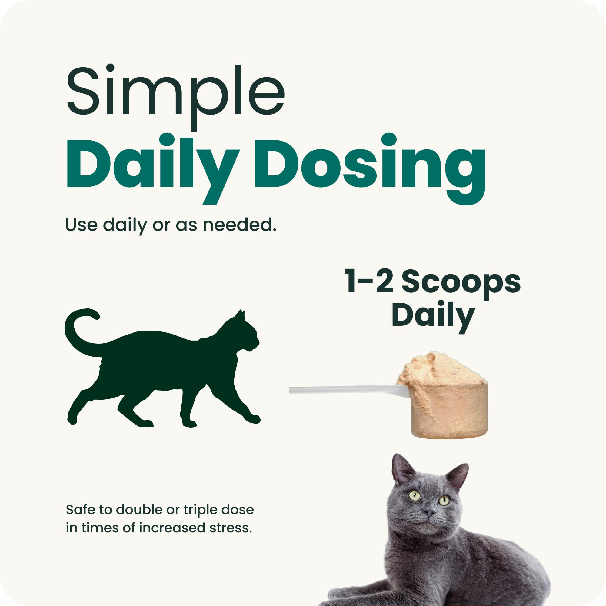 VetriScience pot ouvert révélant la poudre appétissante pour les chats exigeants