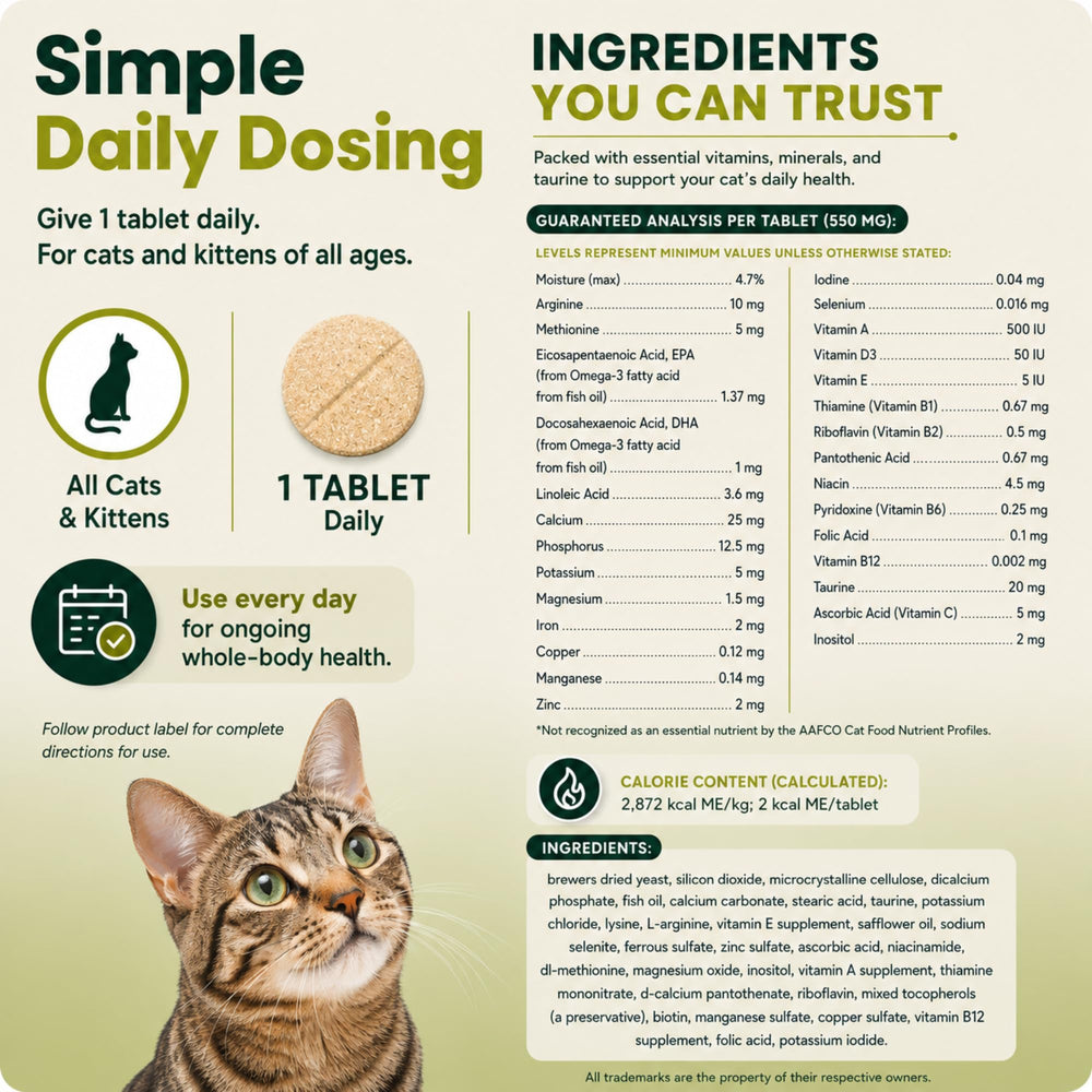 Chat acceptant comprimé VETRISCIENCE, bénéfice adhésion facile au traitement