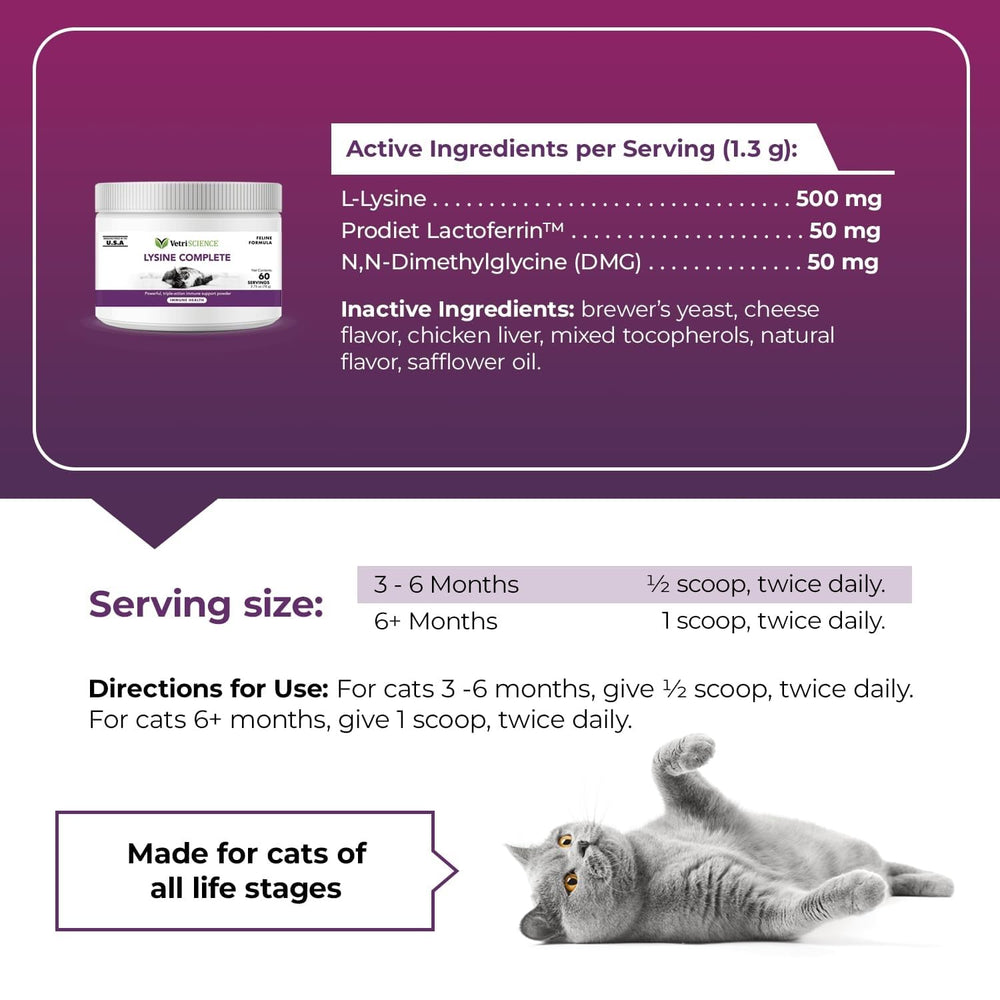 VETRISCIENCE chat consommant la poudre avec aisance, favorise compliance