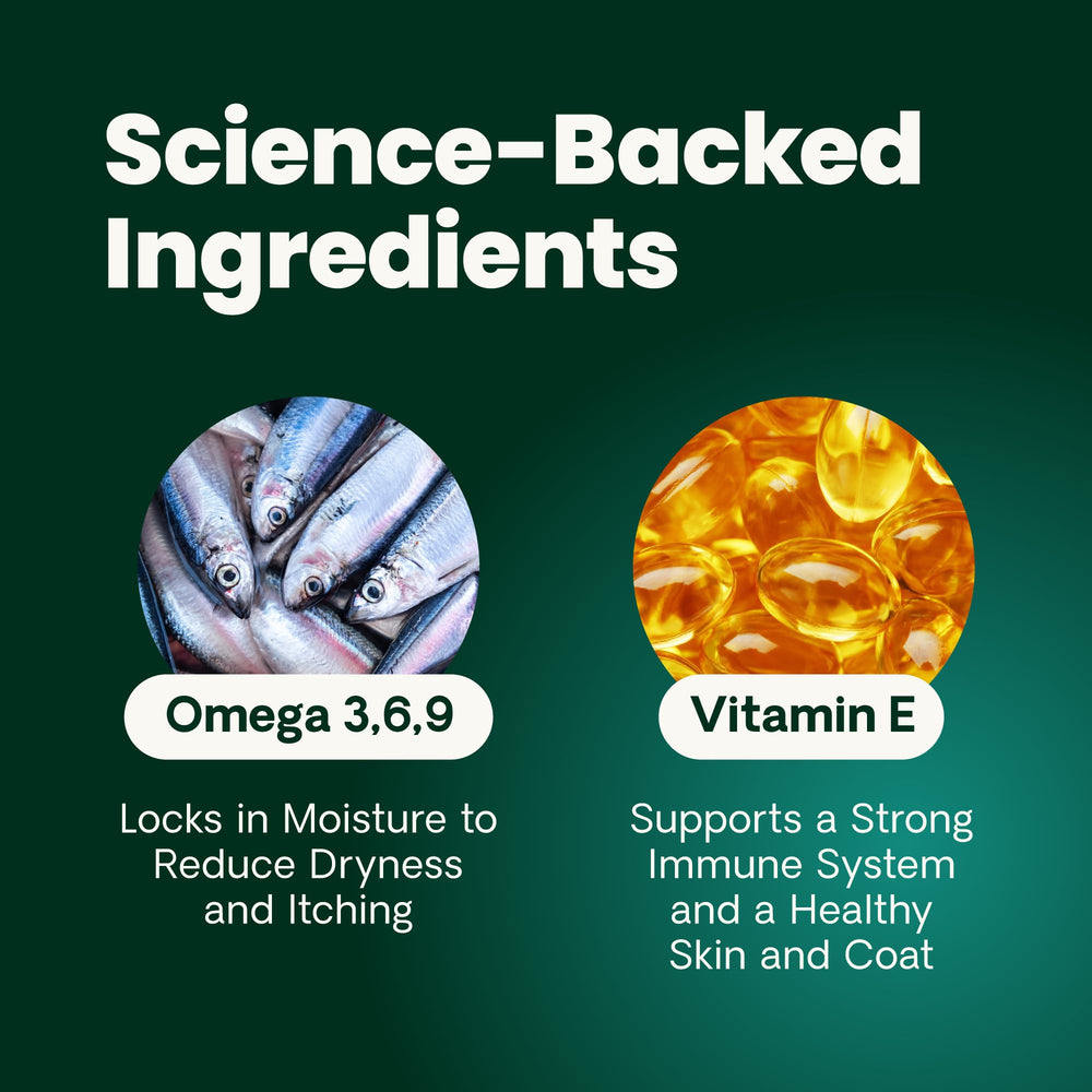 VETRISCIENCE chien prenant une bouchée soulignant acceptation et confort